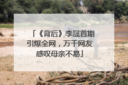 《背后》李晟首期引爆全网，万千网友感叹母亲不易