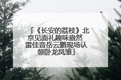 《长安的荔枝》北京见面礼趣味盎然 雷佳音岳云鹏现场认领卧龙凤雏