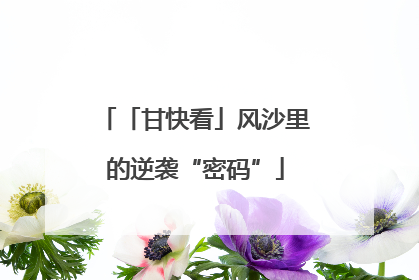 「甘快看」风沙里的逆袭“密码”
