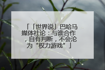 「世界说」巴哈马媒体社论：与谁合作，自有判断，不会沦为“权力游戏”