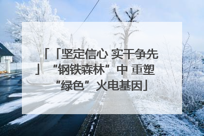 「坚定信心 实干争先」“钢铁森林”中 重塑“绿色”火电基因