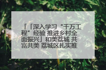 「深入学习“千万工程”经验 推进乡村全面振兴」和美荔城 共富共美 荔城区扎实推进乡村振兴工作