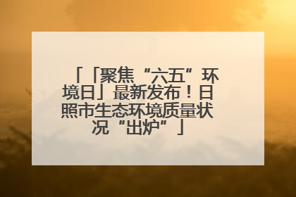 「聚焦“六五”环境日」最新发布！日照市生态环境质量状况“出炉”