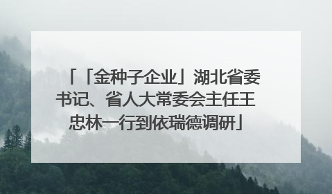 「金种子企业」湖北省委书记、省人大常委会主任王忠林一行到依瑞德调研