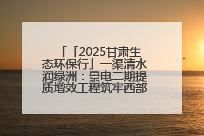 「2025甘肃生态环保行」一渠清水润绿洲：景电二期提质增效工程筑牢西部生态安全屏障