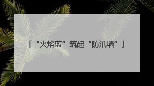 “火焰蓝”筑起“防汛墙”