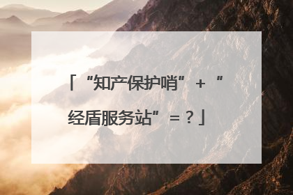 “知产保护哨”+“经盾服务站”=？