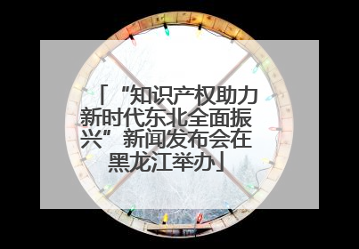 “知识产权助力新时代东北全面振兴”新闻发布会在黑龙江举办