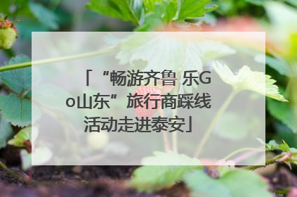 “畅游齐鲁 乐Go山东”旅行商踩线活动走进泰安