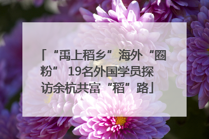 “禹上稻乡”海外“圈粉” 19名外国学员探访余杭共富“稻”路