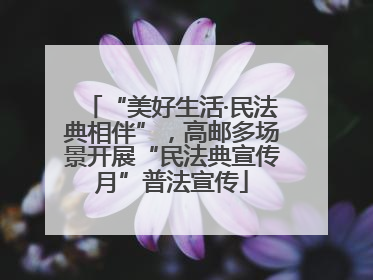 “美好生活·民法典相伴”，高邮多场景开展“民法典宣传月”普法宣传