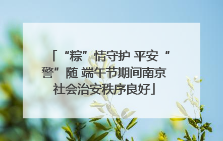 “粽”情守护 平安“警”随 端午节期间南京社会治安秩序良好