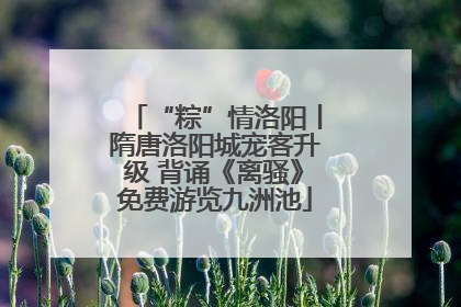 “粽”情洛阳丨隋唐洛阳城宠客升级 背诵《离骚》免费游览九洲池