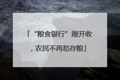 “粮食银行”敞开收，农民不再愁存粮