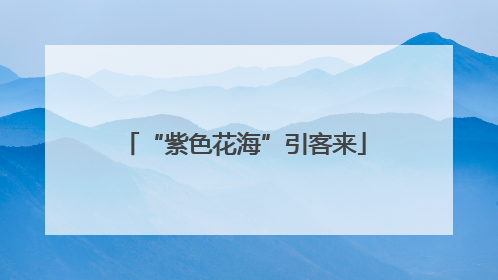 “紫色花海”引客来