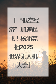 “低空经济”加速起飞！杨浦亮相2025世界无人机大会
