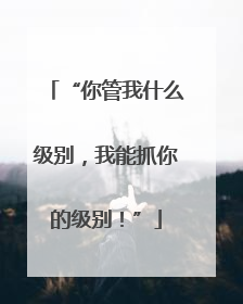 “你管我什么级别，我能抓你的级别！”