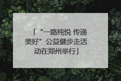 “一路纯悦 传递美好”公益健步走活动在郑州举行