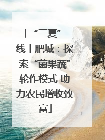 “三夏”一线丨肥城：探索“菌果蔬”轮作模式 助力农民增收致富