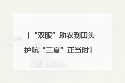 “双服”助农到田头 护航“三夏”正当时