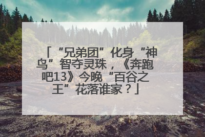 “兄弟团”化身“神鸟”智夺灵珠,《奔跑吧13》今晚“百谷之王”花落谁家?