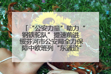 “公安力量”助力“钢铁驼队”提速前进 绥芬河市公安局全力保障中欧班列“东通道”绥芬河隧道贯通