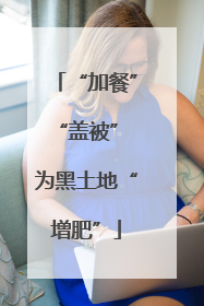 “加餐”“盖被” 为黑土地“增肥”
