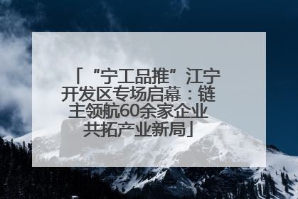 “宁工品推”江宁开发区专场启幕：链主领航60余家企业共拓产业新局