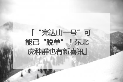 “完达山一号”可能已“脱单”！东北虎种群也有新喜讯