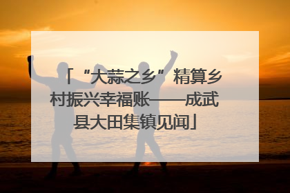 “大蒜之乡”精算乡村振兴幸福账——成武县大田集镇见闻