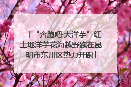 “奔跑吧·大洋芋”红土地洋芋花海越野跑在昆明市东川区热力开跑