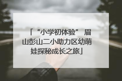 “小学初体验” 眉山彭山二小助力区幼萌娃探秘成长之旅