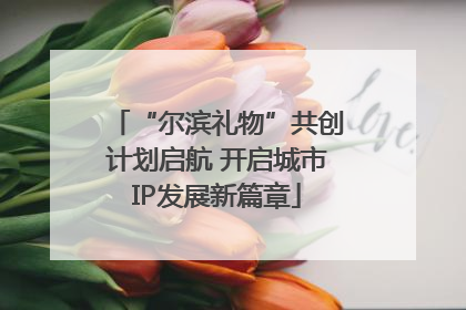 “尔滨礼物”共创计划启航 开启城市IP发展新篇章