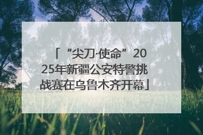 “尖刀·使命”2025年新疆公安特警挑战赛在乌鲁木齐开幕