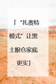 “扎赉特模式”让黑土粮仓家底更实