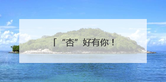 “杏”好有你！杏子集中登鹭，价格低于去年同期