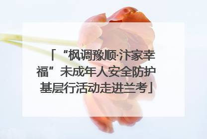 “枫调豫顺·汴家幸福”未成年人安全防护基层行活动走进兰考