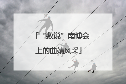 “数说”南博会上的曲靖风采