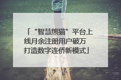 “智慧熊猫”平台上线月余注册用户破万 打造数字连侨新模式