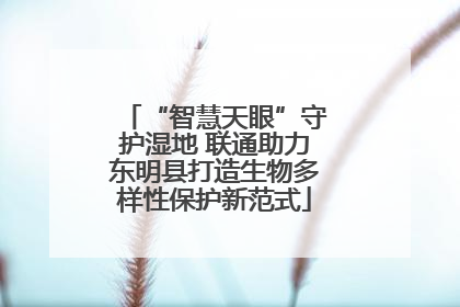 “智慧天眼”守护湿地 联通助力东明县打造生物多样性保护新范式