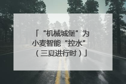 “机械城堡”为小麦智能“控水”（三夏进行时）