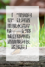 “望闻问切”让河道重现水清岸绿——记郓城县郓州街道镇级河长孟泓辰
