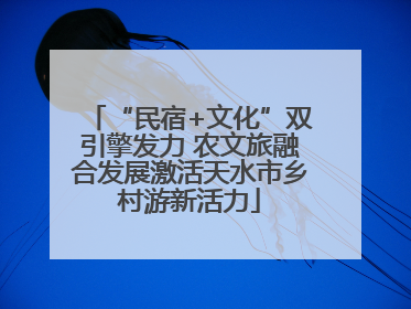 “民宿+文化”双引擎发力 农文旅融合发展激活天水市乡村游新活力
