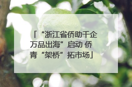 “浙江省侨助千企万品出海”启动 侨青“架桥”拓市场
