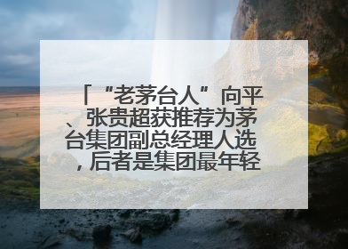 “老茅台人”向平、张贵超获推荐为茅台集团副总经理人选，后者是集团最年轻党委委员