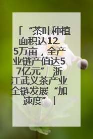 “茶叶种植面积达12.5万亩，全产业链产值达57亿元” 浙江武义茶产业全链发展“加速度”
