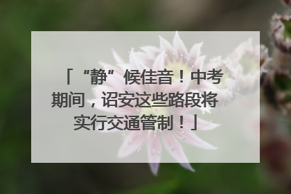 “静”候佳音！中考期间，诏安这些路段将实行交通管制！