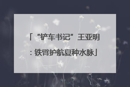 “铲车书记”王亚明：铁臂护航夏种水脉