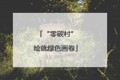 “零碳村” 绘就绿色画卷