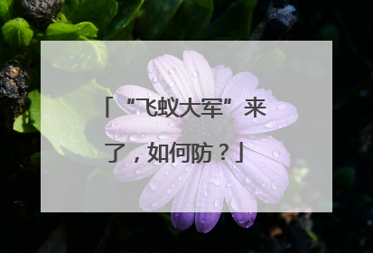 “飞蚁大军”来了，如何防？